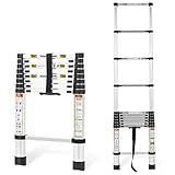 RIKADE Teleskopleiter,Haushaltsleiter,Klappleiter, Ausziehleiter,Mehrzweckleiter,Tragbare Ausziehleiter aus hochwertiges Aluminium，Max Belastung 150 kg/330 (Silber, 2.6m/8.5FT)