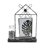 TOGEVAL 1 Stück Glas-Bilderrahmen Pflanzenbehälter Glas-Ausstellungsregal Terrarium Vase Bilderrahmen Hydrokultur-Fotorahmen Riesenrad-Bilderrahmen Hydrokultur-Fotohalter
