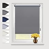 Eurohome Verdunkelungsrollo Thermo Rollo 60x160cm (Stoffbreite 56 cm) Grau Klemmfix ohne Bohren mit gleichfarbige Beschichtung Seitenzugrollo Oeko-TEX Standard 100 Klemmrollo für Fenster & Tür