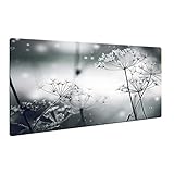 CTC-Trade | Herdabdeckplatten 80x52cm Ceranfeld Abdeckung Glas Spritzschutz Abdeckplatte Glasplatte Herd Ceranfeldabdeckung Blumen Schwarz Grau