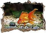 Wandtattoo Gold Fish Water Aquarium Smashed 3D Wandaufkleber Poster Wandbild Zimmer
