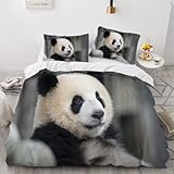 CHAADS Bettwäsche 200 * 200 Teenager Atmungsaktiv 3D-Druck Schwarzer Und Weißer Panda Bettwäsche Set Kinder Bettbezug Weich Bügelfrei Tiere mit Reißverschluss und Kissenbezug 50×75cm