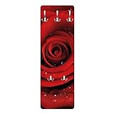Bilderwelten Rosen Garderobe - Rote Rose mit Wassertropfen - Blumenbild Rot, Größe HxB:119cm x 39cm