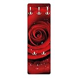 Bilderwelten Rosen Garderobe - Rote Rose mit Wassertropfen - Blumenbild Rot, Größe HxB:119cm x 39cm