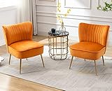 Wahson Samt Sessel Wohnzimmer 2er Set moderner Loungesessel Geplosterter Ohrensessel mit goldenen Metallbeine für Wohnzimmer/Schlafzimmer, Orange