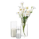 Glasseam Deko Vase Glas Zylinder Tischdeko 3 Stück/Satz Blumen Vasen Set Modern Glasvase Rund Glaszylinder Blumenvase Tulpenvase Tischvase Fuer Hochzeit Wohnzimmer Tulpen Rose, 15/20/25cm Hoch