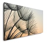 Paul Sinus Art Pusteblumen 120x 60cm Panorama Leinwand Bild XXL Format Wandbilder Wohnzimmer Wohnung Deko Kunstdrucke