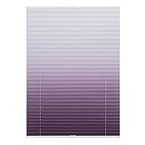 Lichtblick Plissee Klemmfix nach Maß, ohne Bohren, verspannt, lichtdurchlässig, Blickdicht, Farbverlauf Taupe Weiß,45 cm x 130 cm (B x L)