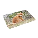 HAOSOFT Badematte Oranger Fuchs rutschfest Badvorleger Flauschige Badezimmerteppich Weicher Badteppich, 40x60cm