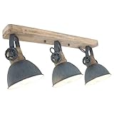 Steinhauer Holz-Deckenstrahler, bewegliche Spots, graue Lampe, Wohnzimmerlampe, Beleuchtung, Steinhauer 2133GR