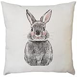 Hevoiok Neu Kissenbezug Kissenüberzug Sofa Cafe Auto Bett Dekoration Kreatives Nett Ostern Küken Design Kissenhülle Wohnkultur Festival Zierkissen Abdeckungs 45cm x 45cm (B)