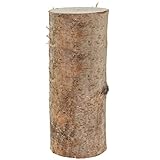 matches21 Birkenstämmchen Baumstamm gerader Schnitt - Holzstamm Naturmaterial DIY Bastelmaterial - je 1 STK. Höhe ca 30 cm