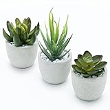 DEZORI Kunstpflanzen [3er Set] - Künstliche Pflanzen mit grauem Topf und weißen Steinen - Künstliche Sukkulenten - Deko Pflanzen - Schreibtisch Deko