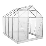 Zelsius Aluminium Gewächshaus für den Garten | inklusive Fundament | 250 x 190 cm | 6 mm Platten | Vielseitig nutzbar als Treibhaus, Tomatenhaus, Frühbeet und Pflanzenhaus