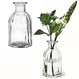 6 x Vasen aus Glas in geriffelter Optik, klar H 13,5 cm - Glasvasen Vintage - Blumenvasen - Dekoflaschen - Glasflaschen 6 x (H 13,5 cm Ø 7,5 cm)