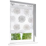 Raffrollo mit Kreis-Motiven Druck Design Rollos Voile Transparent Vorhang (BxH 80x140cm, Braun mit U-Haken)