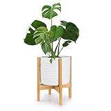 Fox&Fern Pflanzenständer verstellbar L OHNE Übertopf - Blumenständer Holz aus nachhaltigem Bambus - Pflanzenhocker - Plant Stand - Pflanzenständer aus Holz - Blumentopf Ständer - Blumenhocker