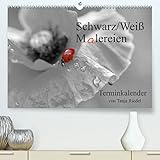 Schwarz-Weiß Malereien Terminkalender von Tanja Riedel für die SchweizCH-Version (Premium, hochwertiger DIN A2 Wandkalender 2023, Kunstdruck in Hochglanz)