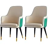 Küchen-Esszimmer-Möbel Stühle Küchen-Esszimmer-Sessel 2er-Set, Moderne Leder-Hohe Rückenlehne, gepolsterter, weicher Sitz, Wohnzimmer-Stühle, Freizeit-Empfangsstühle mit Metallbeinen