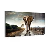 DEQORI Wandgarderobe Glas & Metall | Motiv Elefant auf Asphalt | 60x30 cm | Design Haken-Leiste modern | Garderoben-Paneel für Flur, Wohnzimmer & Schlafzimmer | magnetisch & beschreibbar
