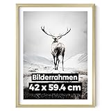 Estancia Bilderrahmen A2 Gold | 42x59.4 cm Goldener Bilderrahmen mit Bruchsicherem Plexi-Glas | Moderner Portraitrahmen Holz | Din A2 Bilderrahmen Gold
