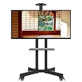 Schwarzer mobiler TV-Wagen für zu Hause, neigbarer, rollender TV-Ständer mit Stauraum, 50 55 65 70 75 Zoll Flache/Gebogene Bildschirme, TV-Regal, bis zu 75 kg Beautiful Scenery