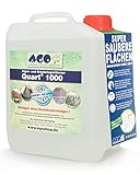 AGO® Quart 1000 Grünbelag Entferner Chlor- und Säurefrei I 5L Flechten & Algen Entferner Konzentrat für 1000qm Fläche