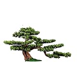 Künstlicher Bonsai-Baum Gefälschter Bonsai-Baum 53,3 cm Künstlicher Bonsai-Kiefer Lebensechter Stamm, künstliche Pflanzen Dekoration, in schwarzem Pflanzgefäß Künstliche Pflanzen Dekor (Farbe: Bianco)