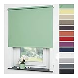 Liedeco® Rollo, Fenster Rollo, Kettenzug-Rollo / 202 x 180 cm (Breite x Höhe), blattgrün / Verdunkelnd, Abdunkelnd, Blickdicht / viele Farben, Größen / Breiten 60-200 cm / Variable Montage möglich