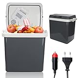 Izrielar 24 Liter Kühlbox Elektrische, 12V 230V, Mini-Kühlschrank KÜHLT und WÄRMT, Auto Kühlbox mit ECO-Modus, für Camping, Grau