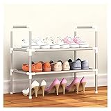 BinOxy schuhregal Multilayer Shoe Rack Organizer Metal Schuhschränke Möbel 2/3/4/5/6 Layer Shoes Regale Organizer Stand Leicht zu installieren Schuhablagen (Color : 2 Layer)