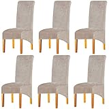 LANSHENG Stretchy XL Stuhlbezüge für Esszimmerstühle, Stretch Spandex mit Gummiband Stuhlbezug,Velvet Large Dining Chair Schonbezüge für Restaurant Hotel Party Bankett (Kamel, 6er Set (Groß))