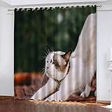 3D Schattierung Vorhänge - 220(B) X215(H) cm Tier Katze Gardinenschal Vorhang Für Wohnzimmer Schlafzimmer Schlaufenschal Isolierung Lärmminderung Mädchen Raumdekoration - Vorhang Für Das Esszimmer