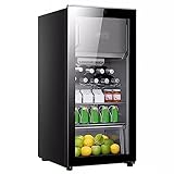 LANGTAOSHA Mini-Kühlschrank, 133 L, Dual-Temperatur, Dual-Control, Separater Lagerkühlschrank, 35 Db, Für Bier, Limonade Oder Wein, Sehr Gut Geeignet Für Zuhause, Bar, Büro