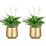 NUPTIO 2 Stück Pflanzentopf Goldvase Metallblumentopfvase mit Drainageloch, Moderner Aufbewahrungsorganisator Dekorative Geschenke für Die Hochzeit Indoor Outdoor Wohnzimmer Balkon Bodendisplay