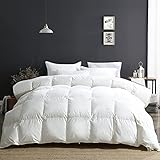 APSMILE Daunendecke 220x240cm - Winter Federbettdecke 220x240 380gsm, Wärmeklasse 4 - Extra warme Bettdecke 25% Daunen Füllge 2010g (Weiß,100% Baumwolle)