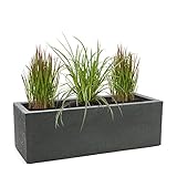 Pflanzwerk® Pflanzkübel Anthrazit Kunststoff 27x80x30cm *Frostbeständig* *100% ÖKOLOGISCH* *2 Jahre GARANTIE* *Qualitätsware*
