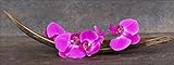 Pro-Art-Bilderpalette Purple Orchid III Glas-Art, bunt, 50 x 125 x 1,4 cm