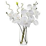 Kunstpflanze Orchideen Kunstblumen Wie Echt Mit Real-Touch in Glasvase mit künstlichen Wasser Künstliche Deko Blumen Kunstblumen Wie Echt Mit Real-Touch Blüten Tischdeko Fensterbank Deko, Weiß
