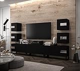 Furnitech Future C95 Modernes Wohnzimmer Wohnwand Wohnschrank Schrankwand Mediawand Möbel MATT (LED RGB (16 Farben), C95-22B-LB-M2-1C)