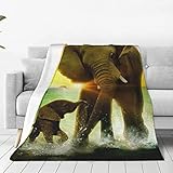 Super weiche Flanelldecke mit Afrika-Elefantenmotiv, verschiedene Größen, für Sofa, Schlafzimmer, für alle Jahreszeiten geeignet, für Bett und Couch, Camping