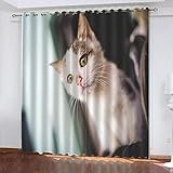 3D Schattierung Vorhänge - 182(B) X214(H) cm Tier Katze Gardinenschal Vorhang Für Wohnzimmer Schlafzimmer Schlaufenschal Isolierung Lärmminderung Mädchen Raumdekoration - Vorhang Für Das Esszimmer