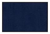 andiamo Fußmatte Verdi Türmatte Sauberlaufmatte für Innen- und überdachte Außenbereiche mit rutschhemmender Rückseite Fußabtreter 90 x 150 cm blau