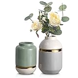 TERESA'S COLLECTIONS Moderne Keramik Vase in Hellgrau/Hellgrün, 2er Vasen Set für Eukalyptus/Blumen, Vergoldete Glasierte Blumenvasen für Zuhause, Wohnzimmer, Schlafzimmer und Kaminsims, 15,5/19 cm