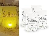 SUGERU® 16 stück Lichthülle für Tischlicht & Teelicht Windlicht & LED-Kerzen,Kommunion deko | tischdeko | Fisch Eukalyptus I 10cm | Taufe deko | Schön DASS du da bist | konfirmation deko(Grau)