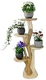 My-goodbuy24 Blumenständer Blumentreppe Blumenpodest Blumenhocker Pflanzen Blumen Deko Treppe Holz Massivholz Suar mit 4 Ablagen