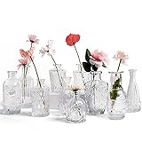 Kleine Vasen 10 Stück Mini Vasen Glas Blumenvase Klein Vasen Set Verschiedene Groessen Für Tischdeko Home Hochzeit Dekoration (10 Stück, Transparent)