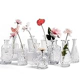 Kleine Vasen 10 Stück Mini Vasen Glas Blumenvase Klein Vasen Set Verschiedene Groessen Für Tischdeko Home Hochzeit Dekoration (10 Stück, Transparent)