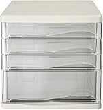 Aktenschrank Dokumenten-Organizer – halbtransparent, vertikaler Aktenschrank mit 4 Schubladen, flache Schublade (Farbe: Argento)