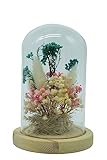 HEITMANN DECO Trockenblumen in Glasglocke, Natur/rosa/grün, 11,5x11,5x17 cm